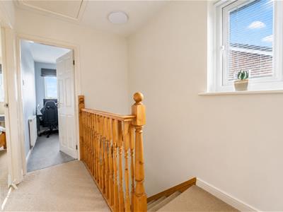 Picture 14